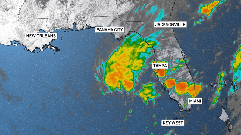Tormenta tropical Arlene se forma en el Golfo de México – NBC 6 South Florida Tormenta tropical Arlene se forma en el Golfo de México – NBC 6 South Florida