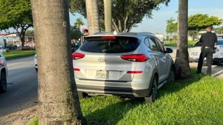 A suspect in a stolen car hit a Doral Police officer's vehicle before leading cops on a chase that ended when they crashed into several trees, authorities said.