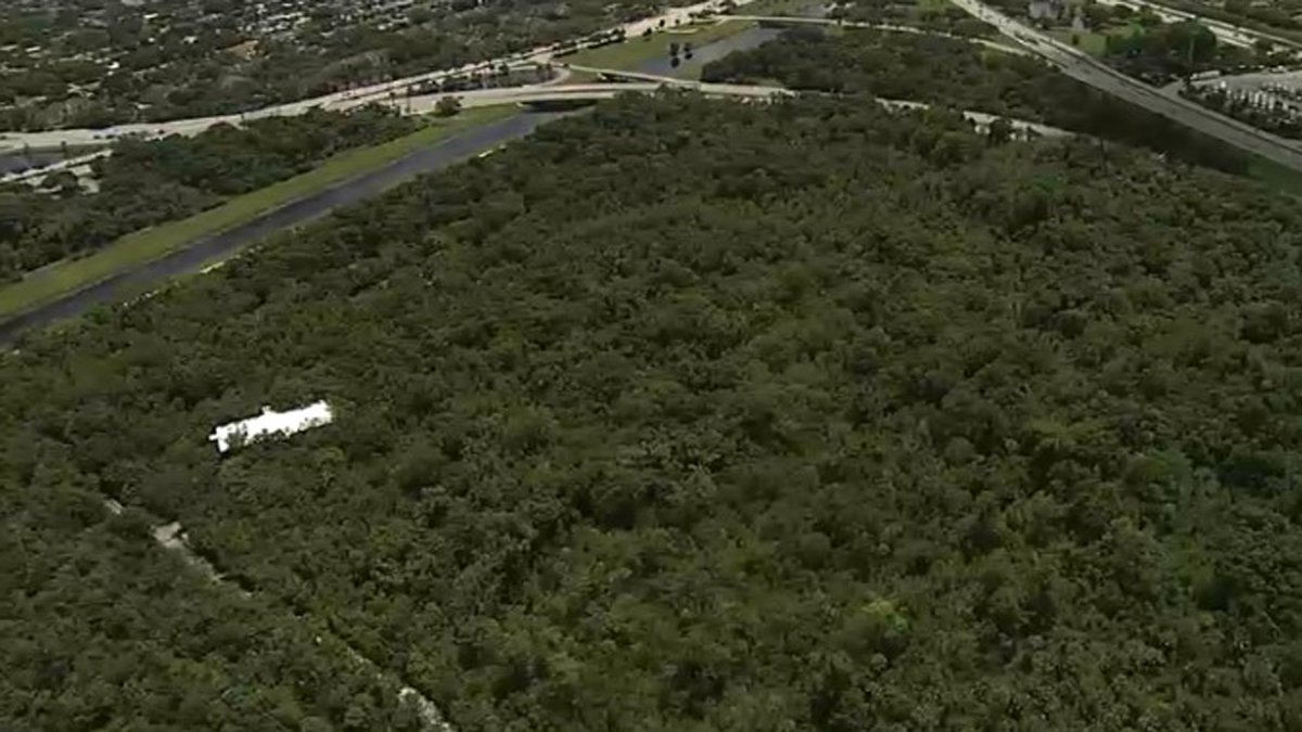 Suspect sought after woman robbed and sexually assaulted on Coconut Creek nature trail - Vimarsana News