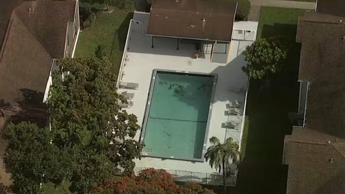 Pembroke Pines man accused of drowning dog in pool during domestic dispute NBC 6 South Florida