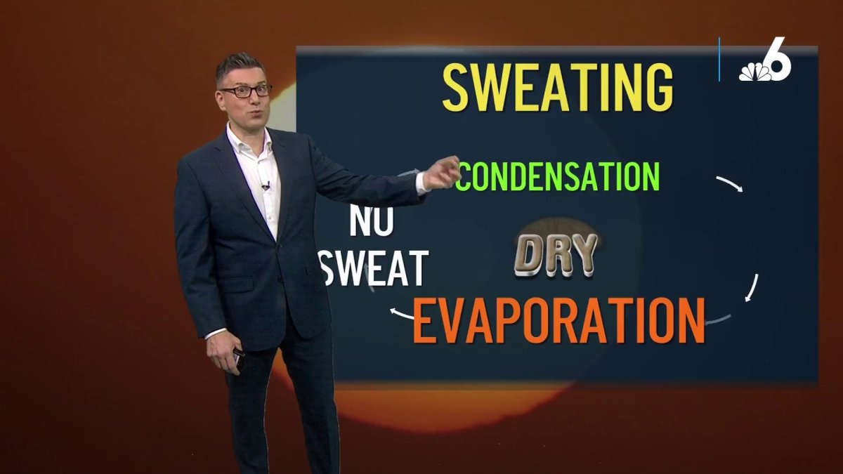 why-do-we-sweat-our-meteorologist-explains-nbc-6-south-florida