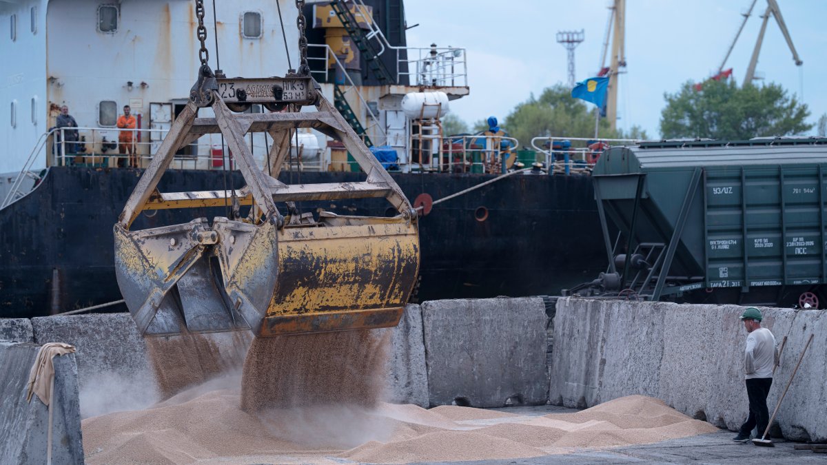 Russia halts wartime deal that allows Ukraine to ship grain – NBC 6 South Florida - Vimarsana News