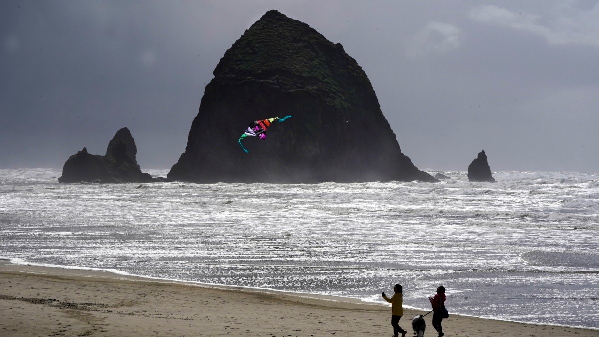 Oregon's Cannon Beach reopens after cougar sighting – NBC 6 South Florida - Vimarsana News