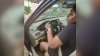 Bodycam shows woman hitting Lauderhill officer with car, fleeing traffic stop before crashing into tree