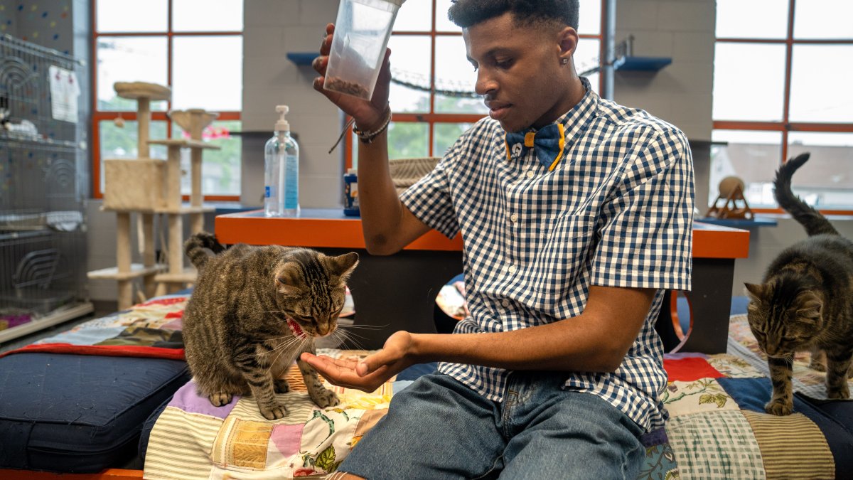 Teen's mission is to save shelter animals one bow tie at a time – NBC 6 South Florida - Vimarsana News