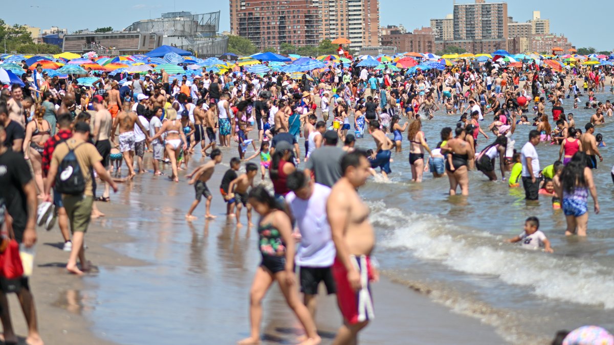 New York beaches listed unsafe with poop contamination – NBC 6 South Florida - Vimarsana News