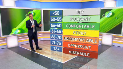 What is a dew point? NBC6 meteorologist explains