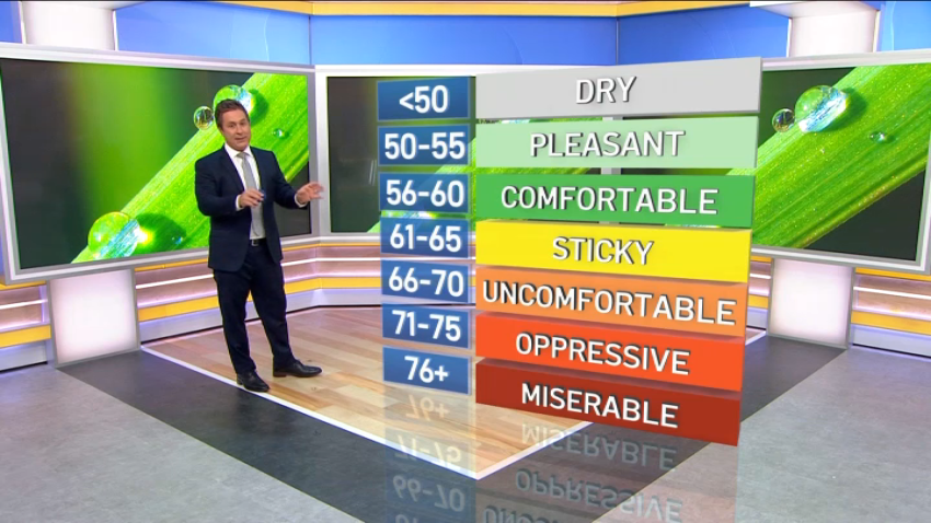What is a dew point? NBC6 meteorologist explains