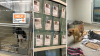 Lost dogs have fueled the overpopulation crisis in US animal shelters