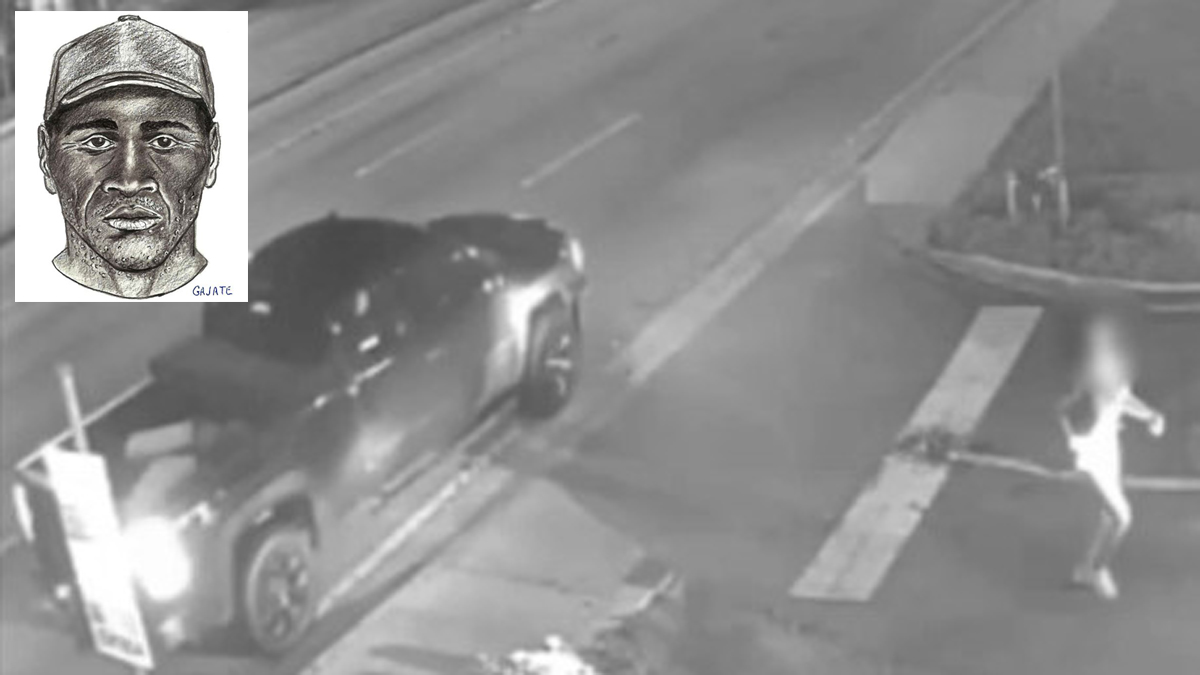 Video and sketch show suspect wanted in sex assault and attempted  