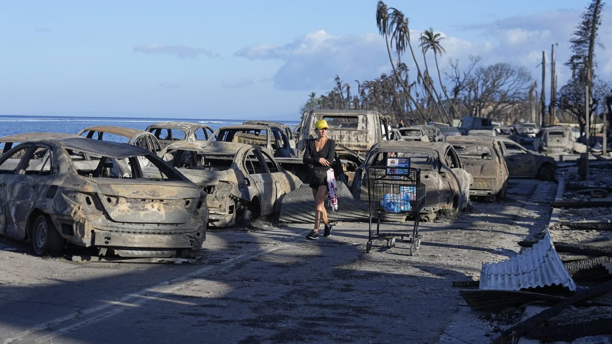 Maui wildfire victims receive help from Paradise fire survivors – NBC 6 South Florida - Vimarsana News