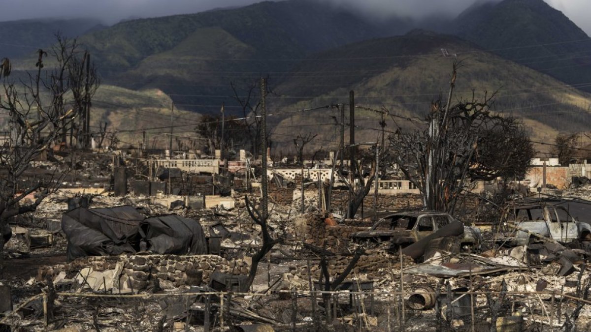Maui wildfires: Some missing people found after Hawaii officials release list – NBC 6 South Florida - Vimarsana News