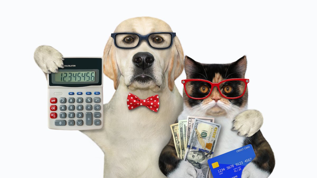 Pet-o-nomics: The cost of owning a dog or cat
