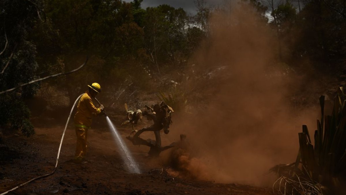 Hawaii electric company says power lines did not cause deadly Maui wildfire – NBC 6 South Florida - Vimarsana News