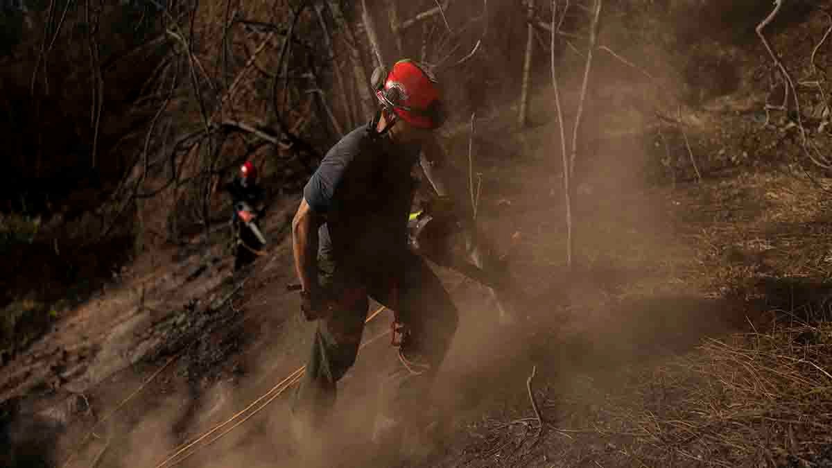 Maui wildfire survivors face power cuts and poor cell service amid ongoing search efforts – NBC 6 South Florida - Vimarsana News