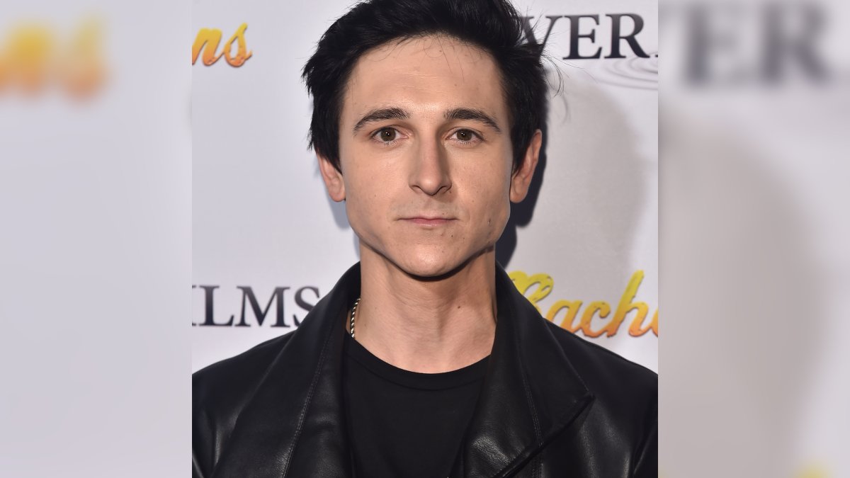Former Disney star Mitchel Musso arrested in Texas for general public intoxication, theft: law enforcement