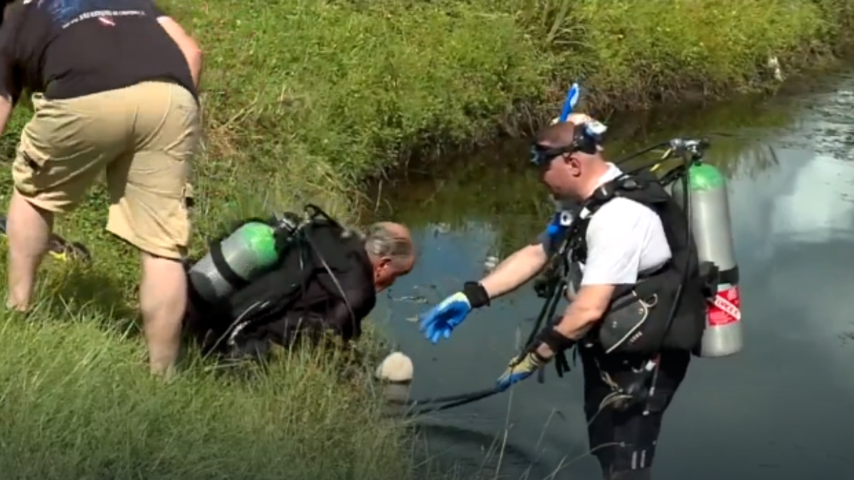 Divers recruited in West Palm Beach cold case – NBC 6 South Florida - Vimarsana News