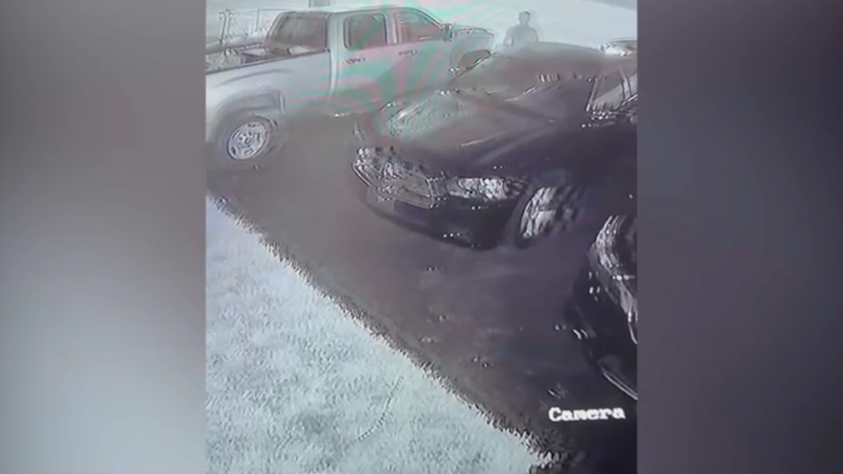 Man arrested for multiple car thefts in Hialeah – NBC 6 South Florida - Vimarsana News
