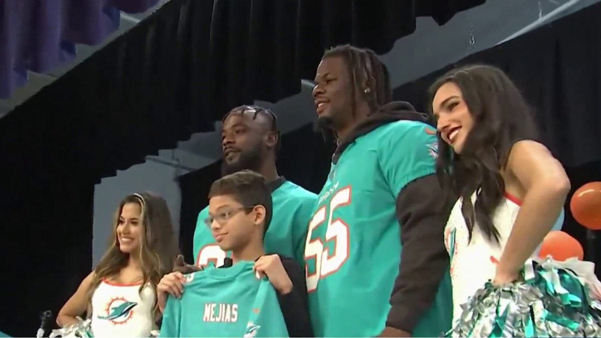 Miami Dolphins hold first public training camp day of 2023 season – NBC 6  South Florida