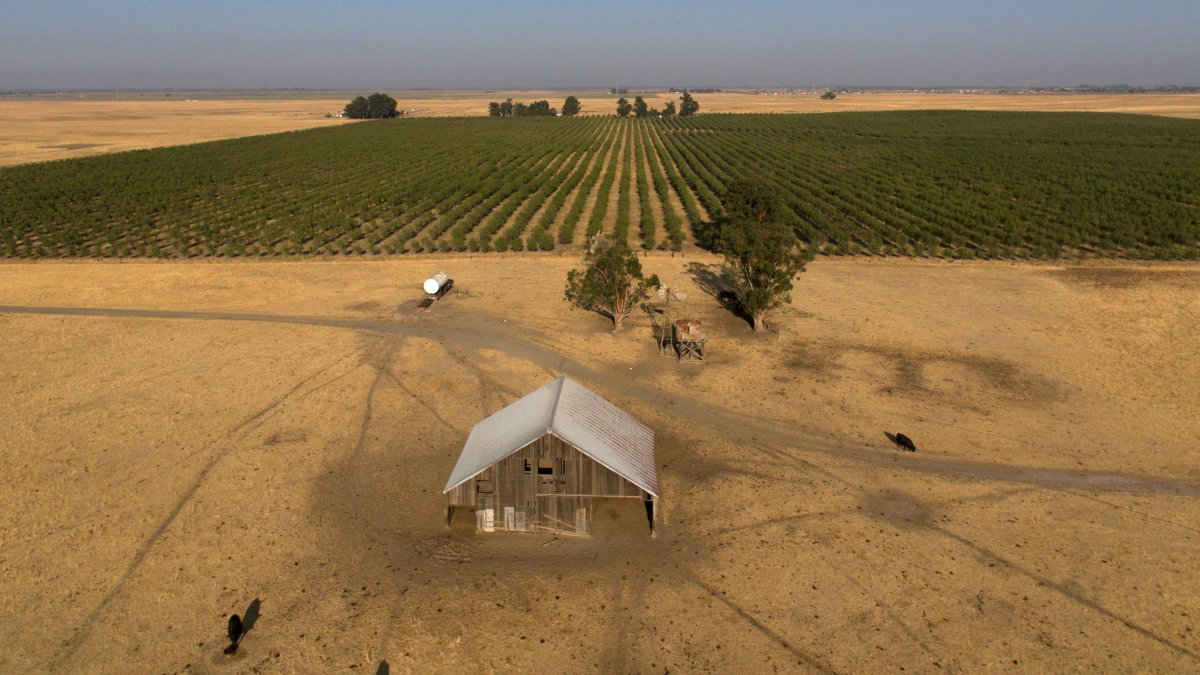 Silicon Valley billionaires want to build a new city in rural Calif. – NBC 6 South Florida - Vimarsana News