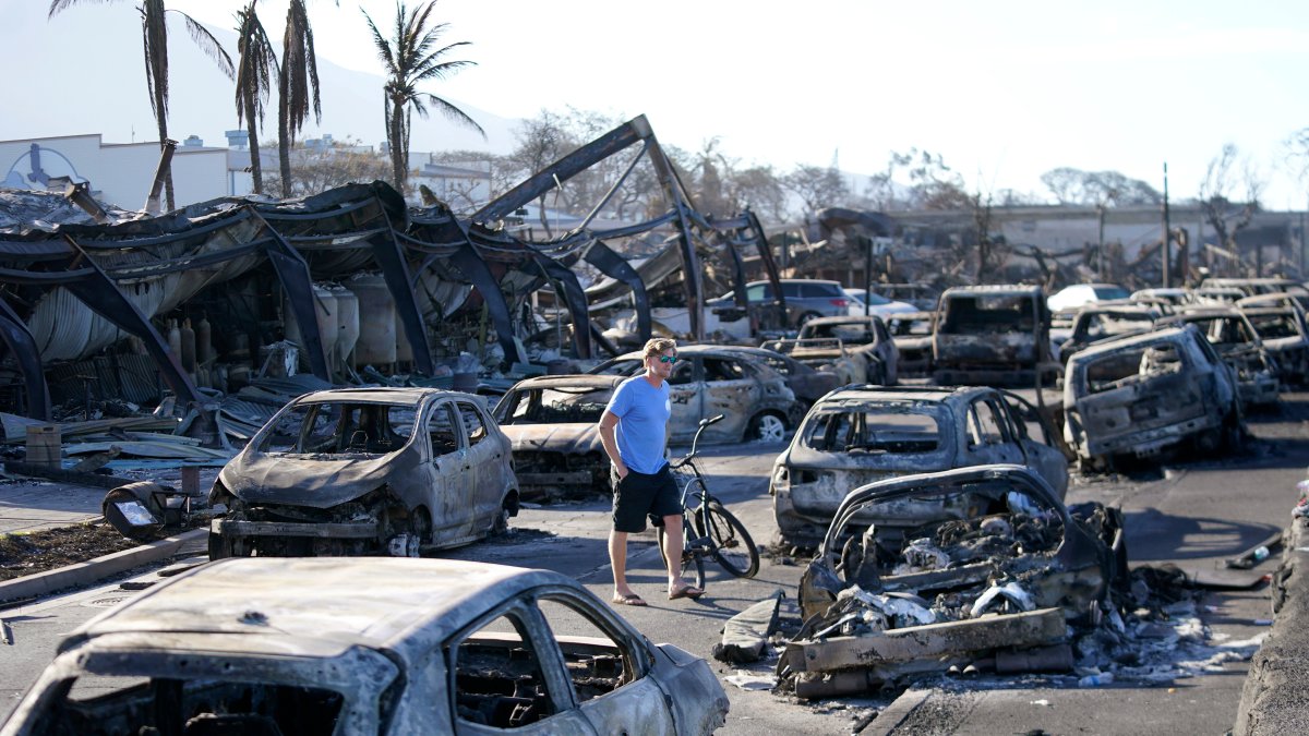 Maui wildfires death toll drops to 97 after DNA testing – NBC 6 South Florida - Vimarsana News