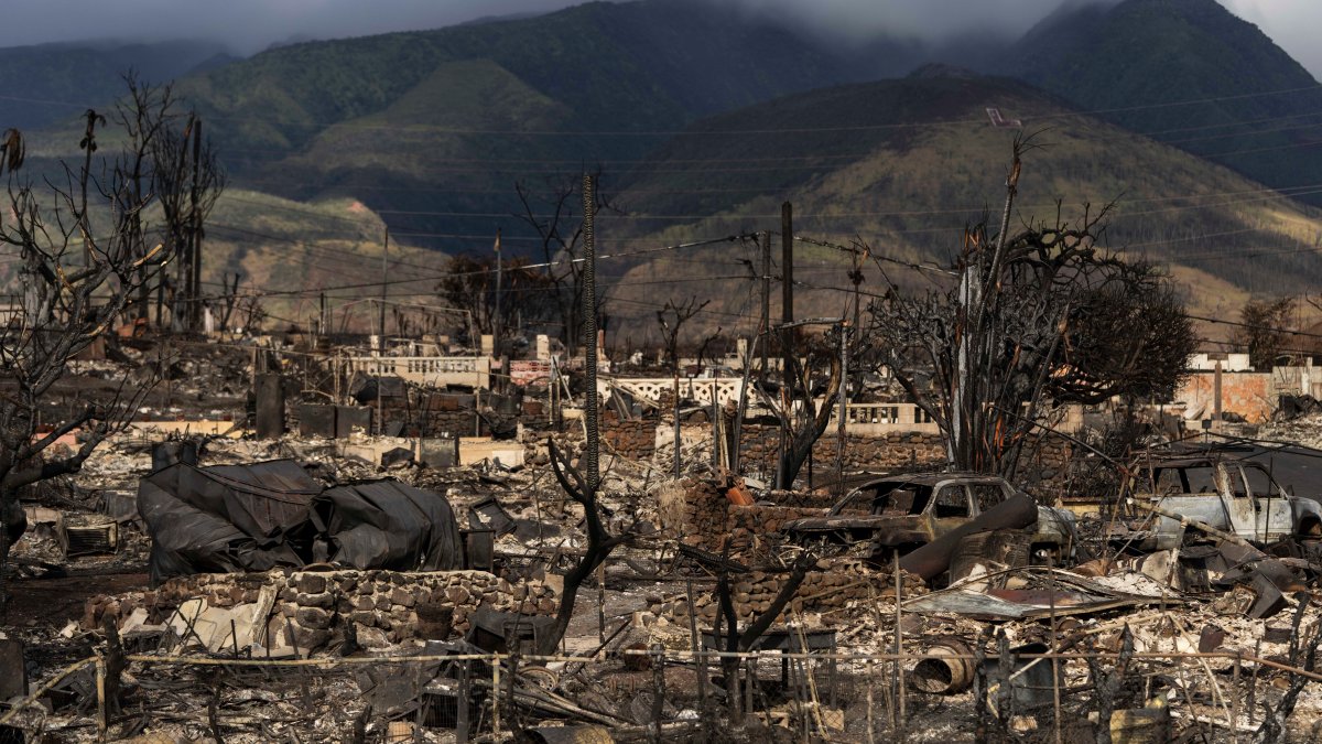 Hawaiian Electric at center of first congressional hearing on Maui wildfires – NBC 6 South Florida - Vimarsana News
