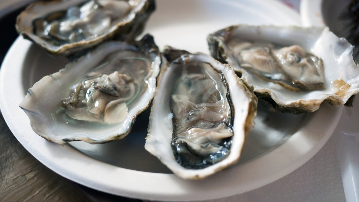 Vibriosis, infection with flesheating bacteria linked to raw oysters