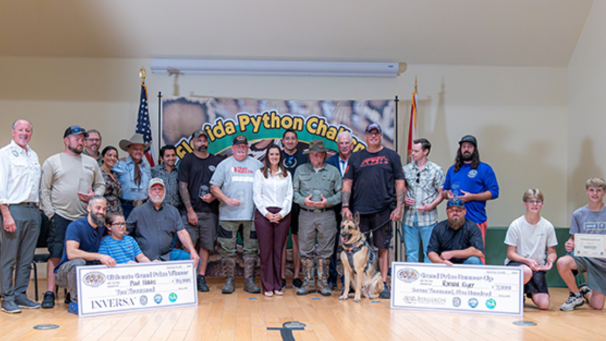 The winners of the 2023 Florida Python Challenge were revealed. – NBC 6 ...