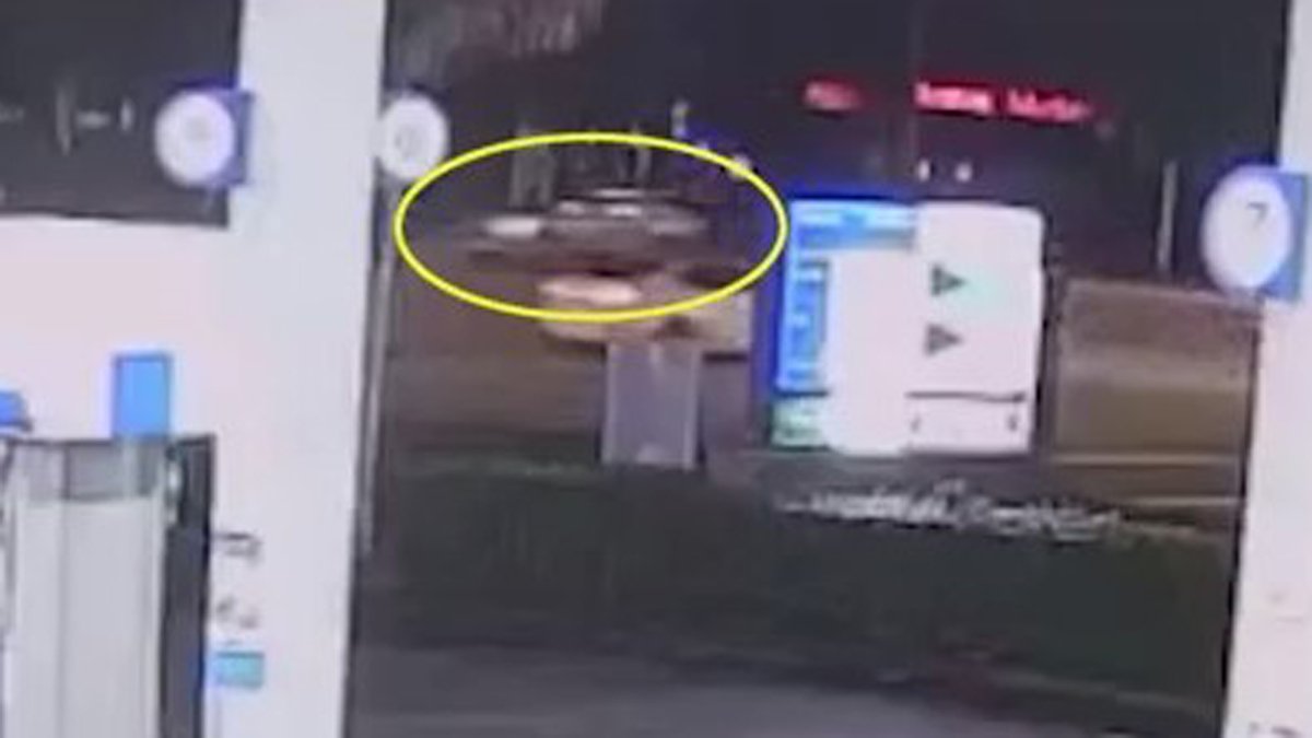 BSO releases video, continues search for driver in fatal hit-and-run in ...
