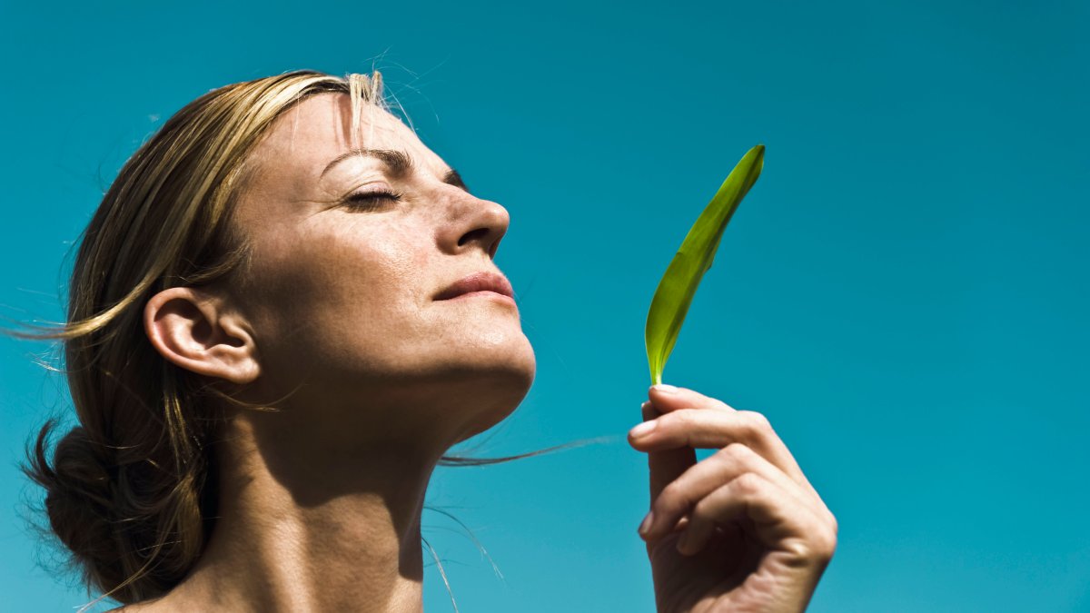 Longevity doctor says this is the No. 1 supplement he takes every day to 'slow down aging'—you 'may not have heard of it' – NBC 6 South Florida - Vimarsana News