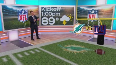 Miami Dolphins – NBC 6 South Florida