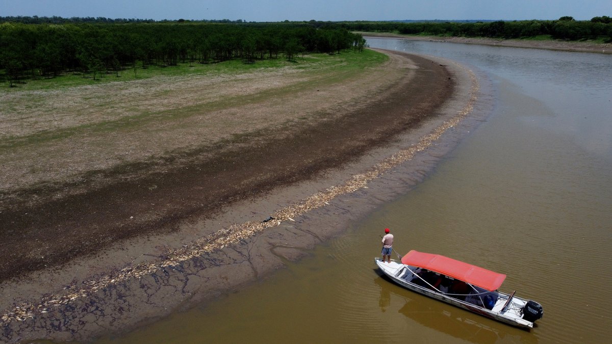 Brazil's Amazon faces drought and high water temperatures, causing more than 100 dolphins to die – NBC 6 South Florida - Vimarsana News