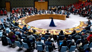 The United Nations secretary-general and several Security Council members advocated for a cease-fire between Israel and Hamas ahead of a vote Friday, warning that ongoing warfare would have devastating global consequences.