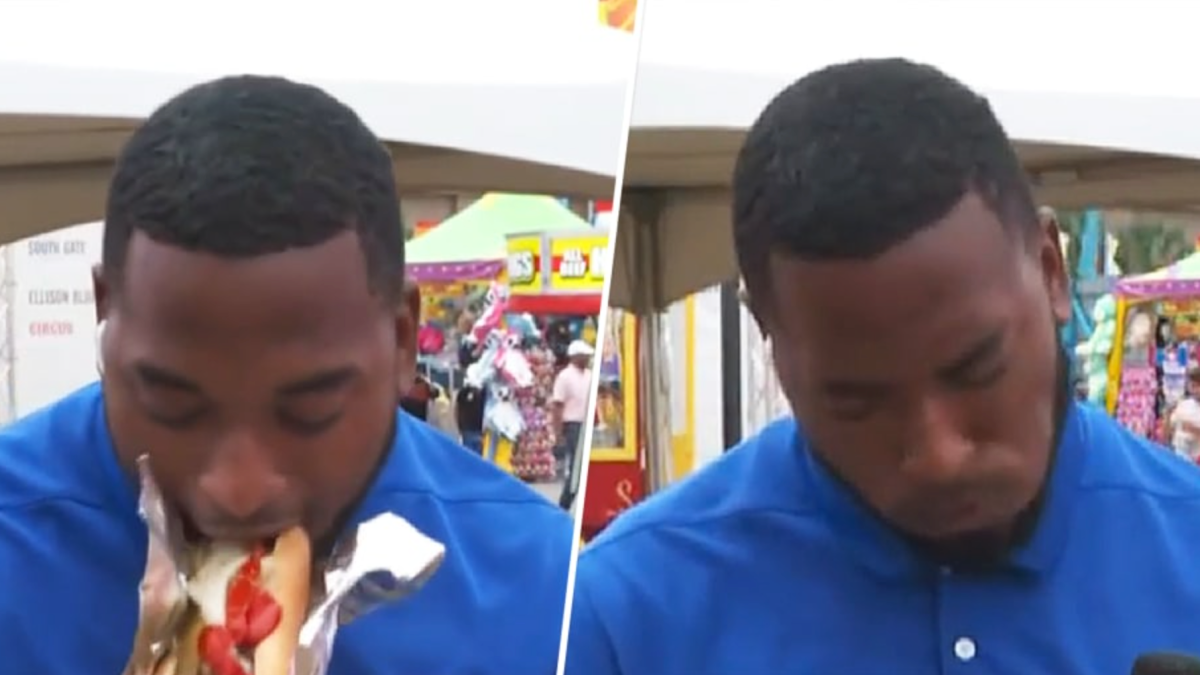 Reporter right away regrets having bite of incredibly hot canine at state good: ‘Pretty, rather good’