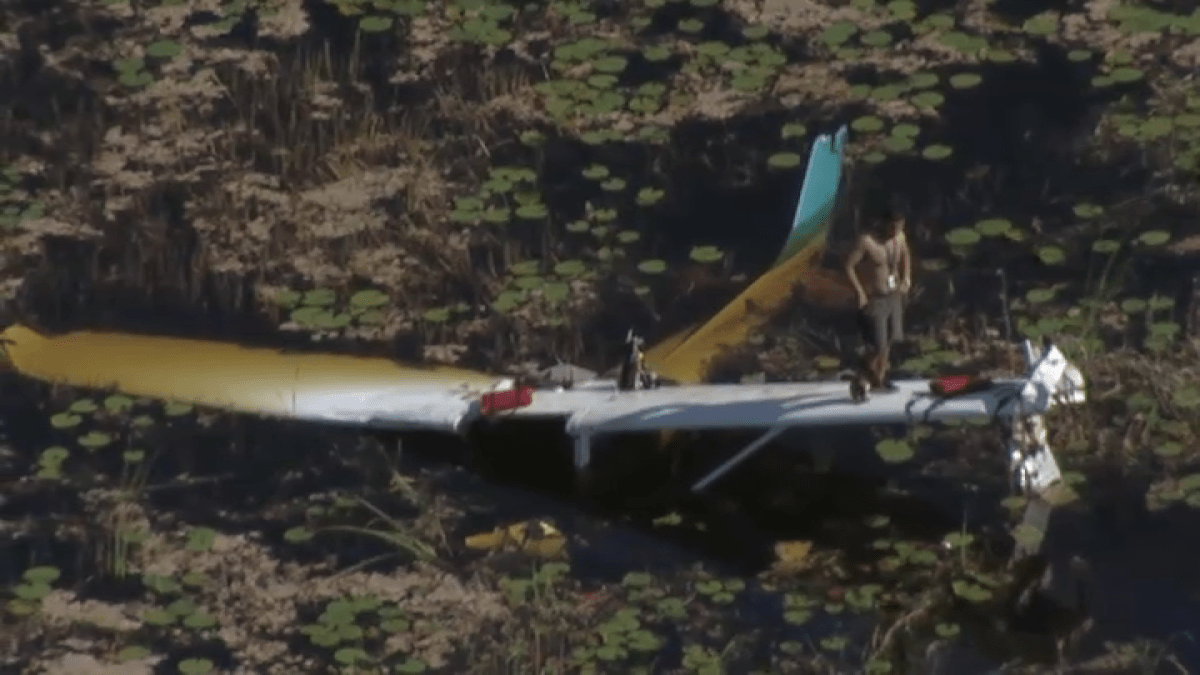 Small plane crash: Video shows pilot rescue in the Everglades – NBC 6 ...