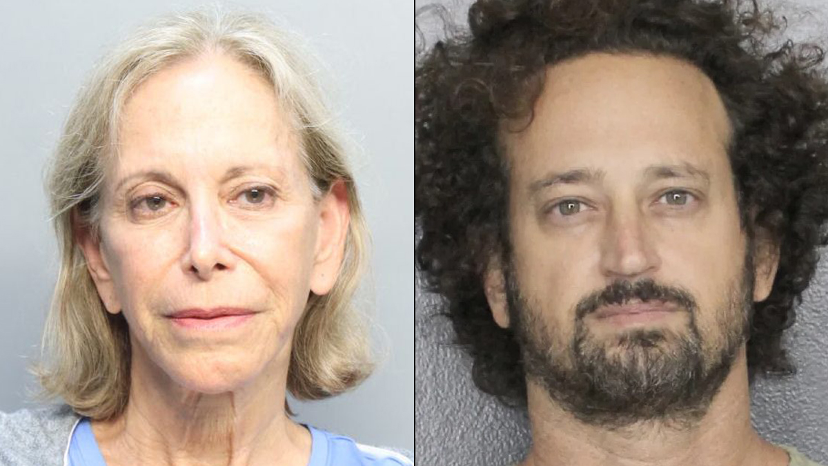 FSU law professor killed: Donna Adelson arrested after son convicted in ...