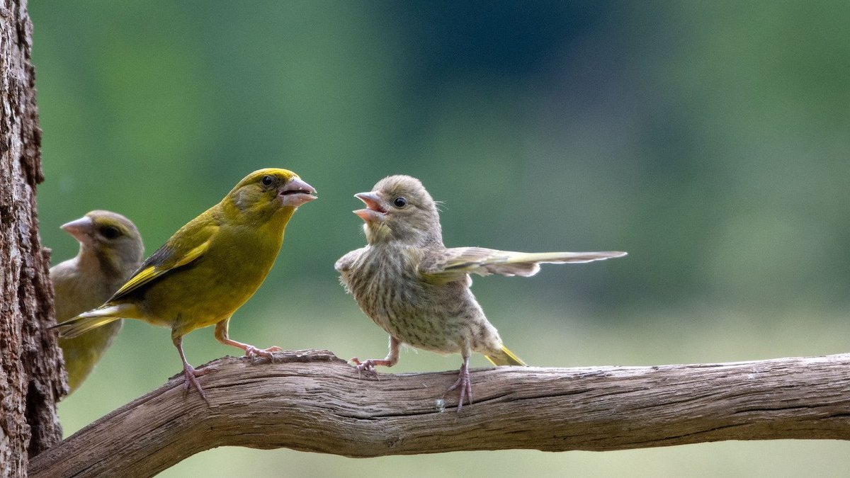 Comedy Wildlife Photography Awards 2023: See the funniest winners – NBC 6 South Florida - Vimarsana News
