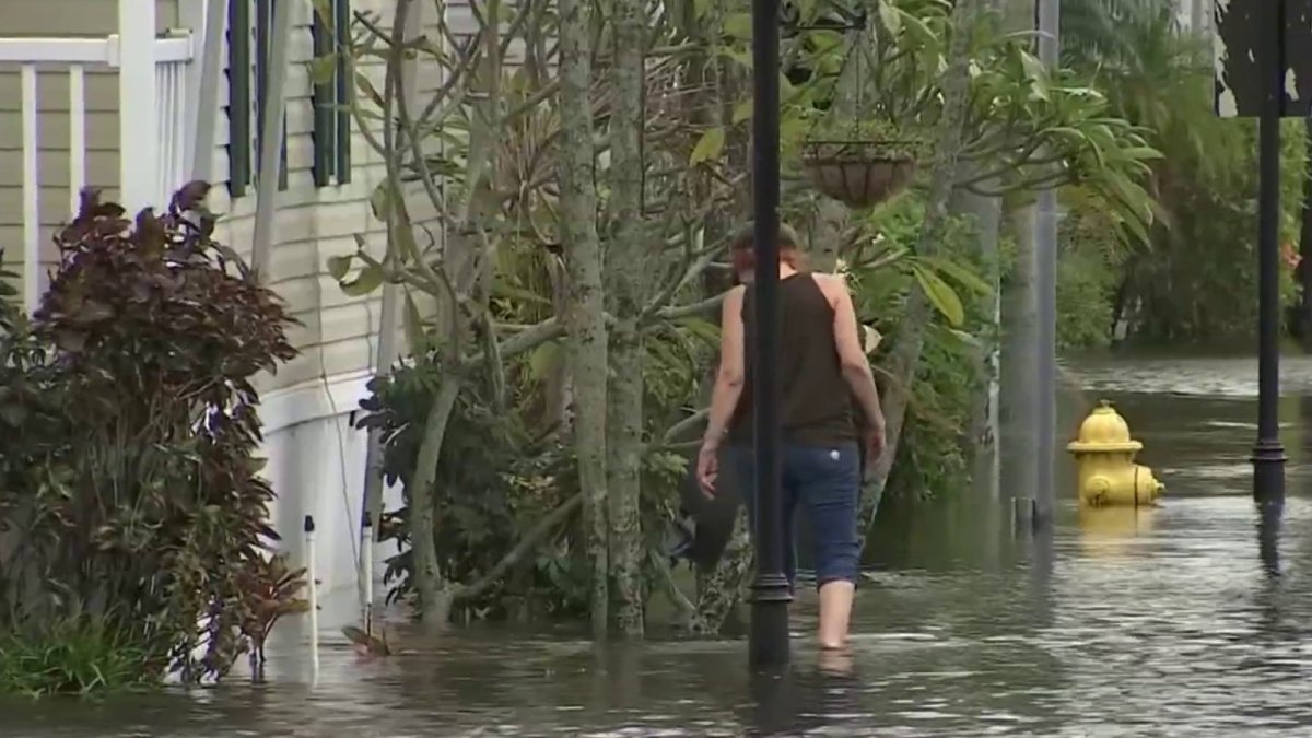 Flood damage? What you need to know about insurance – NBC 6 South Florida - Vimarsana News