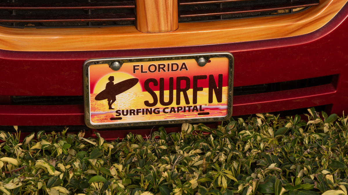What are the most popular license plates in Florida? NBC 6 South Florida