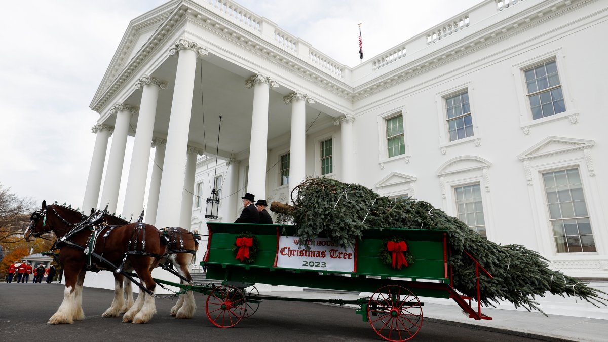 See the 2023 White House holiday decorations – NBC 6 South Florida - Vimarsana News