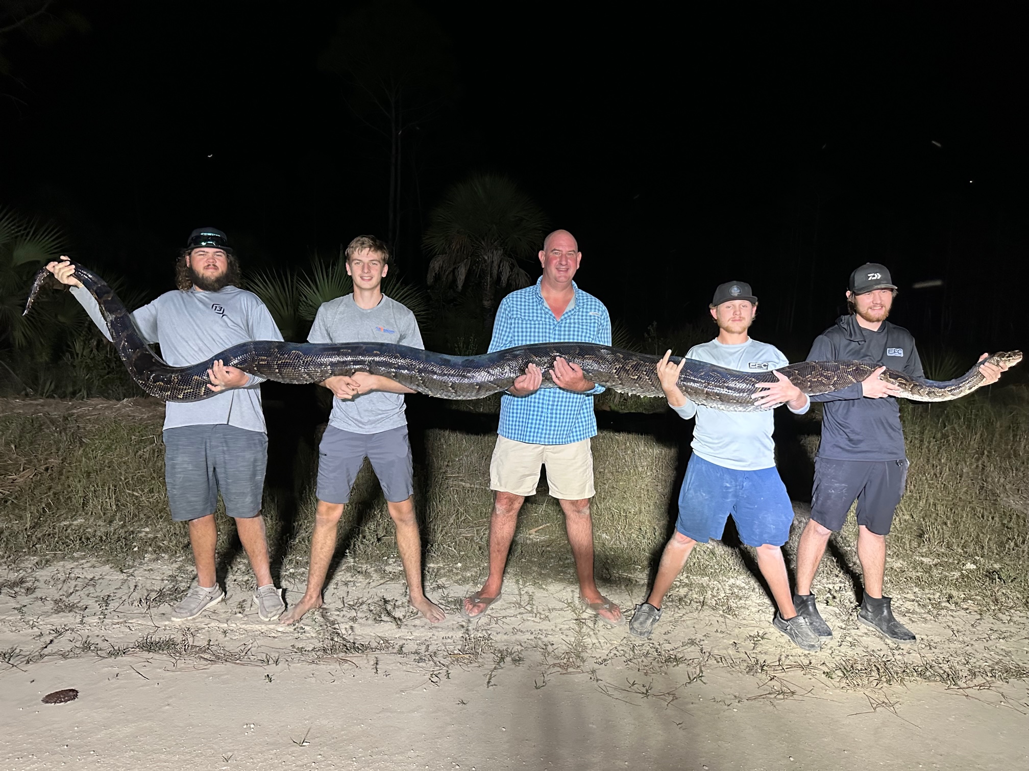 This is the second-heaviest python ever caught in Florida. (Courtesy: Mike Elfenbein)