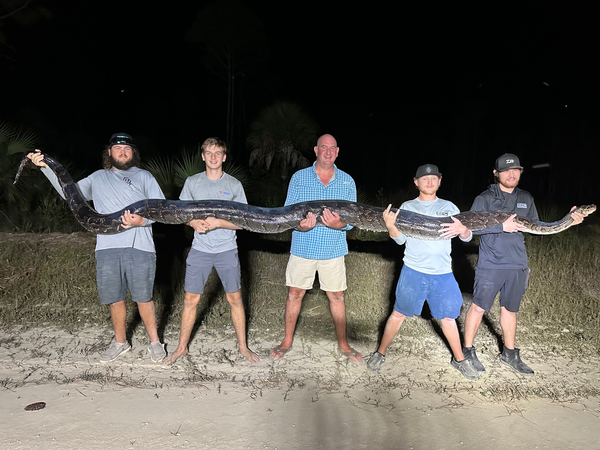 Images: 198-pound Burmese python captured in Collier County