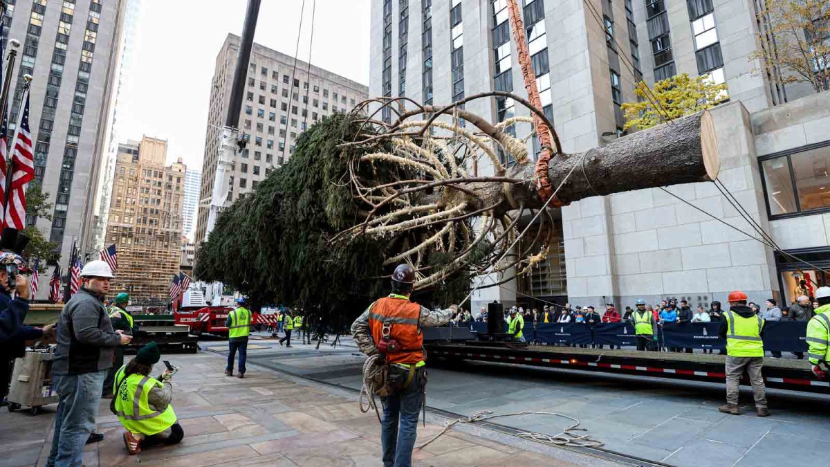 Rockefeller Center Christmas tree: What to know – NBC 6 South Florida - Vimarsana News