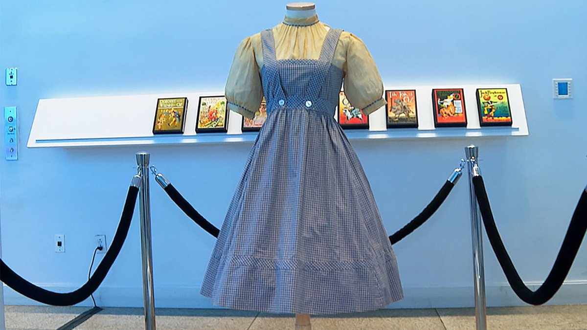 ‘Wizard of Oz&#039 costume could go up for big-dollars auction right after judge tosses ownership lawsuit