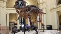 Inheritance money from selling Sue the T-Rex center of South Dakota legal dispute