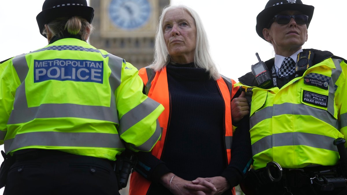 British law allows for the arrest of protesters in certain situations – NBC 6 South Florida - Vimarsana News