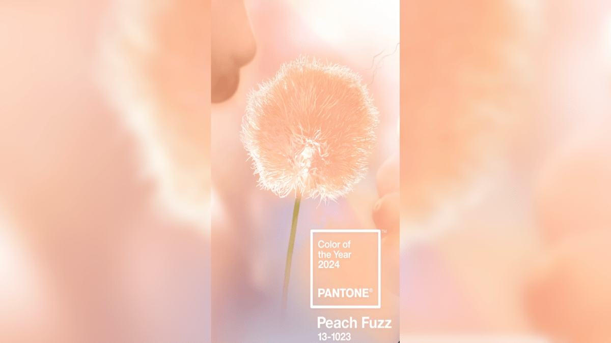 Pantone color of the 12 months 2024 has us feeling heat and fuzzy