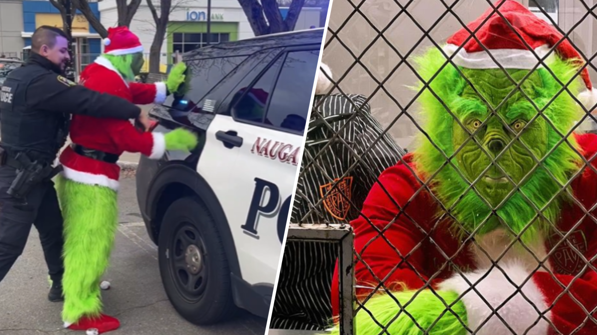 Law enforcement throughout Connecticut apprehend &#039The Grinch&#039 on Xmas Eve