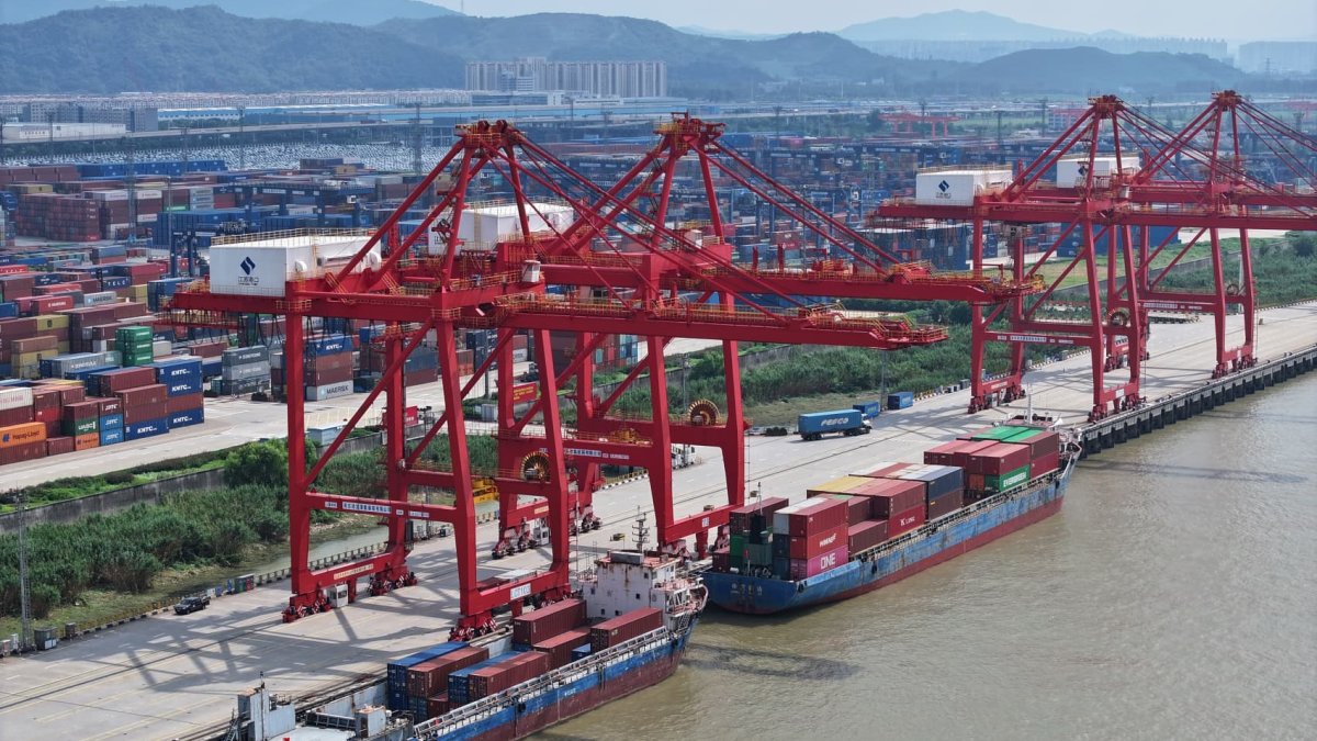 Weak China demand leads shipping giants to cut cargo rates on key trade routes despite Red Sea crisis - Vimarsana News