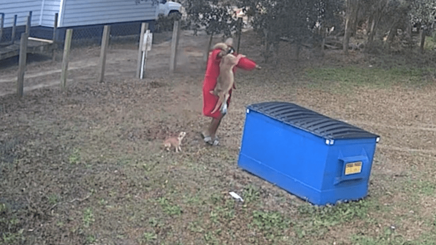 Man holding a coyote by the tail.